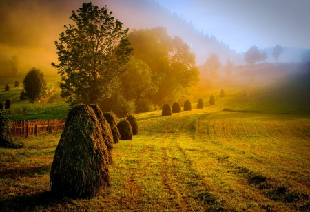 Mystical Sunrise - hill, fence, trees, field, beautiful, fog, morning view, grass, sunrise