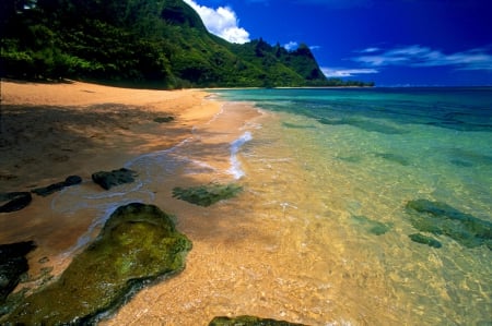 beautiful beach - beach, sand, tree, mountain