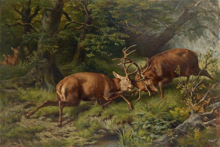 The Duel - male, female, deer, fighting, woods