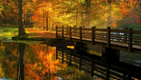 Autumn Bridge - rays, autumn, trees, beautiful, golden, bridge