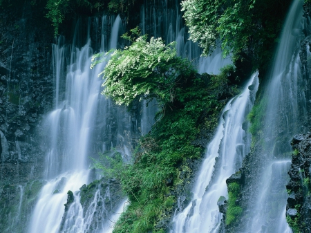 Japanese Garden Waterfall - Japanese, nature, waterfal, garden