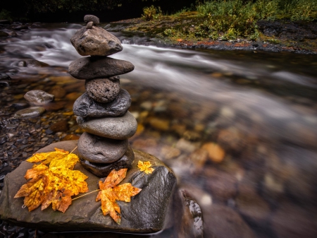 Autumn Stream - stream, fall leaves, nature, autumn