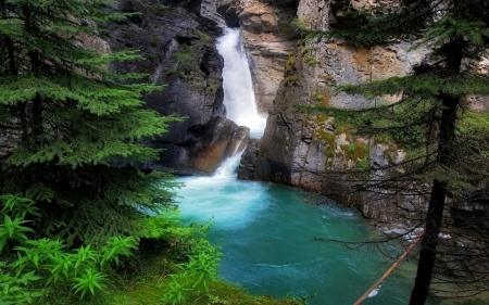 Mountain Falls - nature, mountain, trees, moss, waterfall