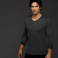 Ian Somerhalder as Damon