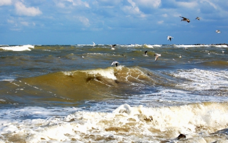 seagulls and waves. - sky, seagulls, splendor, summer, sea, waves