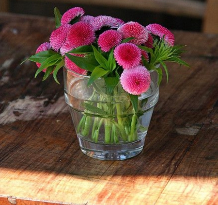 still life - cool, beautiful, flowers, photography, still life