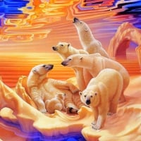 ..Aurora of Polar Bears..