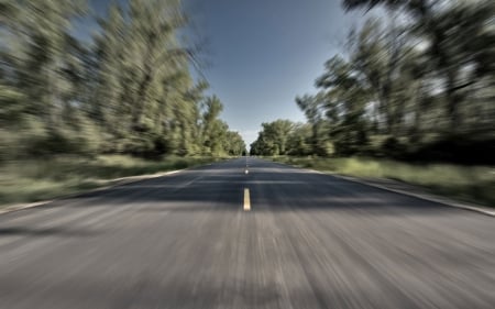 timelapse - road, grass, tree, timelapse