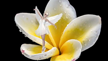 Plumeria Fairy