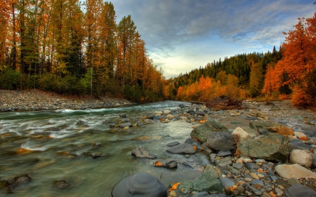 Autumn - autumn, trees, clouds, river