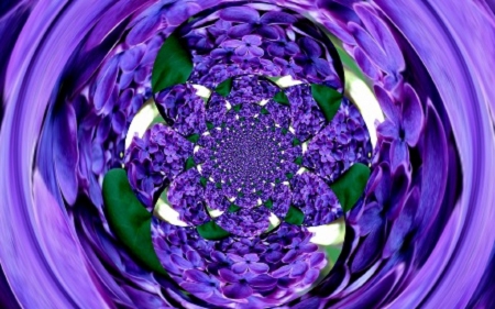 POLAR LILACS - creation, abstract, polar, lilacs