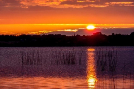 Golden Sunset - evening, beautiful, water, golden, sunset