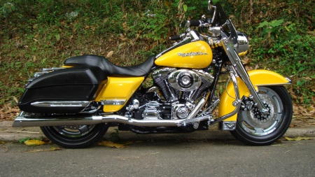 Harley Davidson Road King - harley, chopper, motorcycle, bike