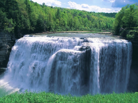 Waterfall - waterfalls, trees, water, nature