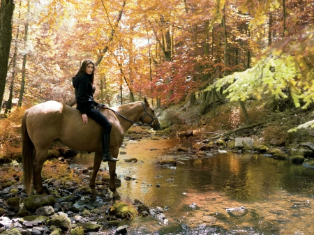 Cowgirl~Cinthia Moura - forest, horse, fall, rocks, water, creek, cinthia moura, cowgirl, trees, autumn