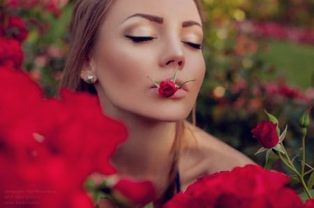 Beauty Rose - femininity, woman, sensual, red, bud, rose, beauty