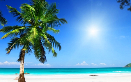 Paradise Sunny Beach - sunny, summer, coast, beach, island, isle, shore, SkyPhoenixX1, holiday, paradise, tropic, sky, sun, clouds, sunlight, vacation, sea, sunshine, ocean, tree, palm, tropical, waves