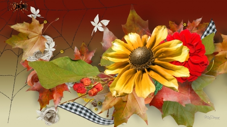 Spider For Fall - autumn, fall, bug, spider, leaves, ribbon, web