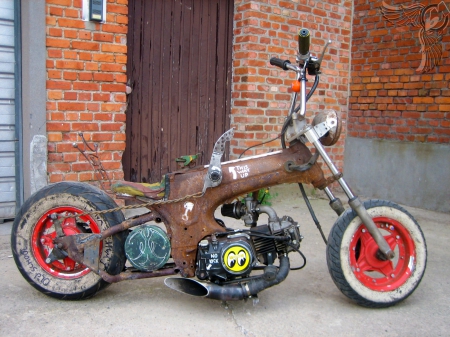 Suicide Kustom Junk Chopper - bike, junk, suicide, chopper