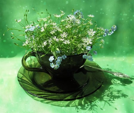 Still Life - flowers, spoon, plate, beauty, saucer, cup