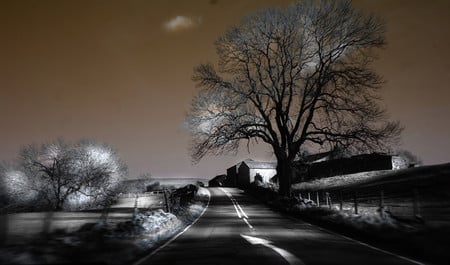 Road - nature, 3d