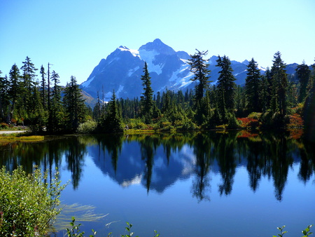 Mount Shuksan in Mirror Lake (reg. size) - trees, water, forest, reflection, washington, mountain, widescreen, fall, autumn, lake, muntain