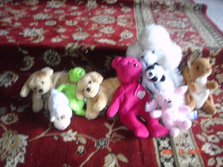 Stuffed Animals - nutella, fuzzie, woosly, doggy