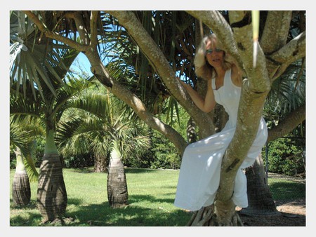 in the palm tree - white, 2009, palm tree, haveing fun