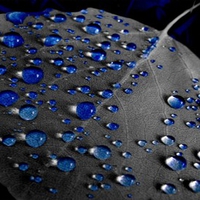 Blue Rain Drops