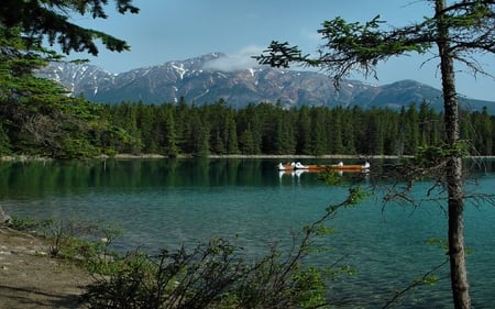 Canoes - forest, canoes