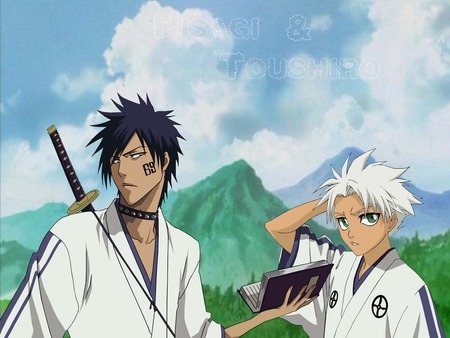 hisagi, toushiro - anime, bleach