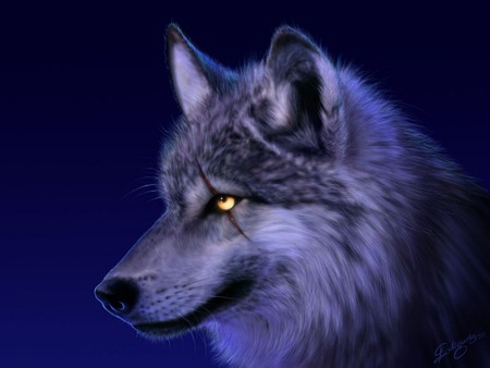 wolf - fantasy, animal, wolf, spiritual, night, cool, wild