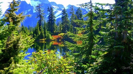 Autumn at Mirror Lake - autumn, lake, fall, trees, mountain, foreset, widescreen, washington