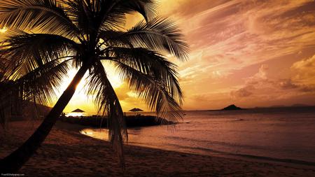 Beach Paradise - beach, ocena, paradise, tropical, sunset, sand