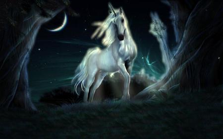 Unicorn Night - moon, night, midnight, fantasy, white, dark, einhorn, pegasus, unicorn