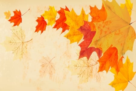 Autumn Leaves - fall, art, yellow, red, leaves