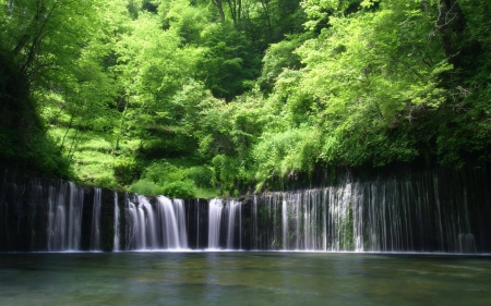 rain forest - tree, forest, waterfall, rain