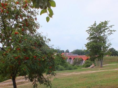 Autumn. - bridges, nature, rivers, other