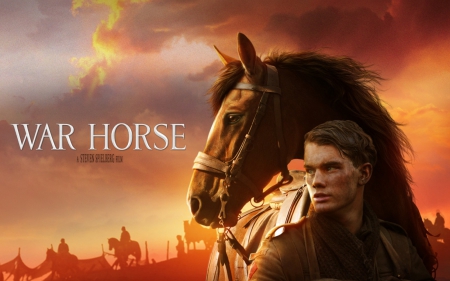 war horse