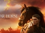 war horse