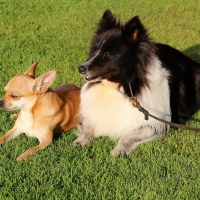 Lovely Two Friends