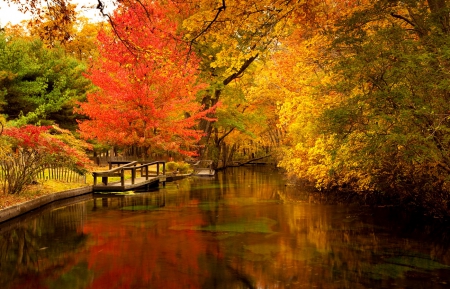 Colors of autumn - season, branches, autumn, lake, trees, park, shore, lovely, foliage, serenity, fall, calmness, tranquil, beautiful, river, colors