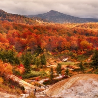 Shirakami Mountains