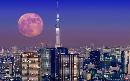 Tokyo City - moon, tokyo, night, japanese, tower, buildings, cityscapes, japan, city, scenery