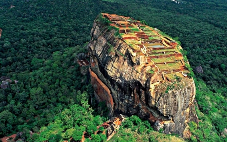 Farms over the top of the mountain - farms, nature, amazing, mountain