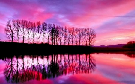 LAKESHORE at PURPLE SUNSET - clouds, purple colors, evening, splendor, landscape, reflection, pink, tree, colors of nature, lakeshore, splendid, sunset, nature, lake, enchanting nature, sky