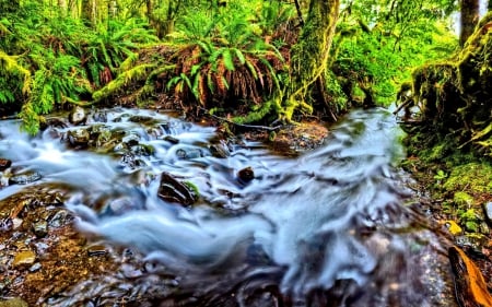 MYSTIC WATERFALLS - waterfalls, nature, mystic, splendor, landscape, forest, rocks, wild