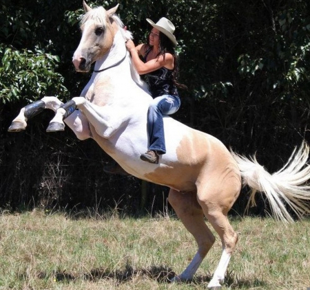 â™¥ - chaps, saddle, horse, hat, clouds, cowgirl