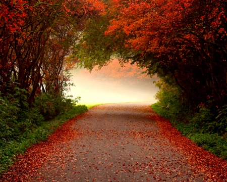 ~â™¥~ Beauty Awaits ~â™¥~ - fog, road, mist, fall leaves