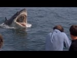 JAWS